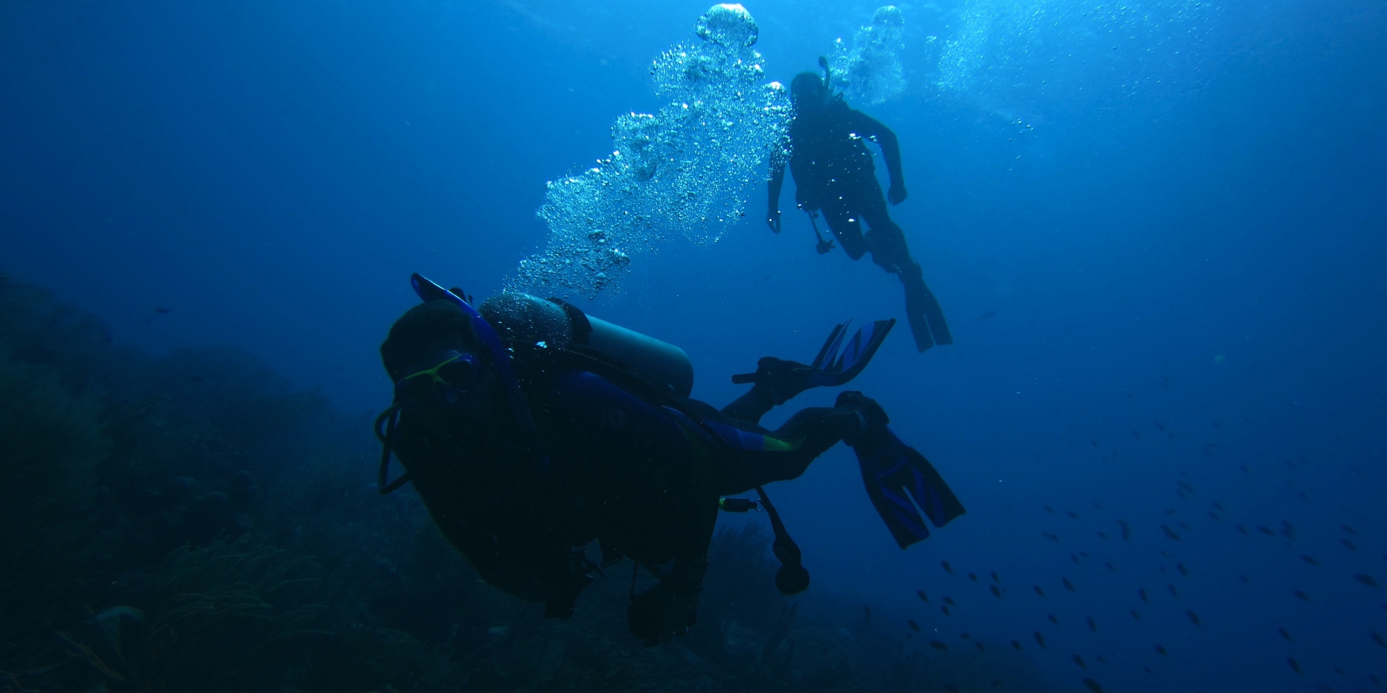 Paul and Perry diving in Bonaire.